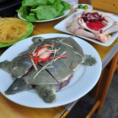 Lẩu Baba